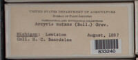 Image Associated With the Occurence